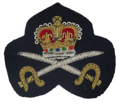 Army Physical Training Instructor Beret Badge