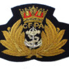 cfpa cap badge