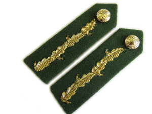 General's No.1 Dress Oakleaf Gorgets - Dental Green