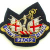 honourable artillery company beret badge on black
