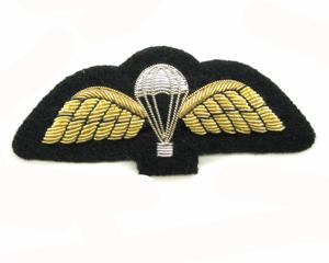 Parachute Wings - No.1 Dress