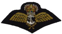 Royal Navy Fleet Arm - Mess Wings on Black