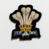 royal regiment of wales cap badge on dark navy scaled
