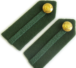 Staff Service Dress Gorgets - Dental Green