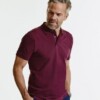 tailored stretch polo